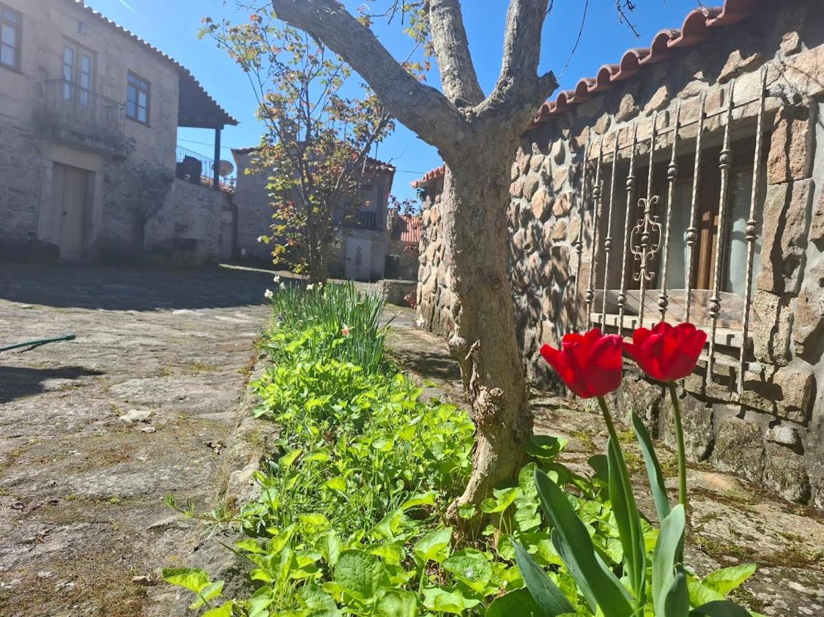 Casas Do Juizo - Country Houses Экстерьер фото
